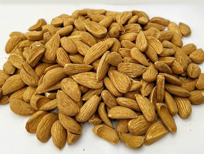 Bulk Iranian Mamra Almonds for Military Rations & Armed Forces Stockpiles; Bulk Pricing & Framework Agreements